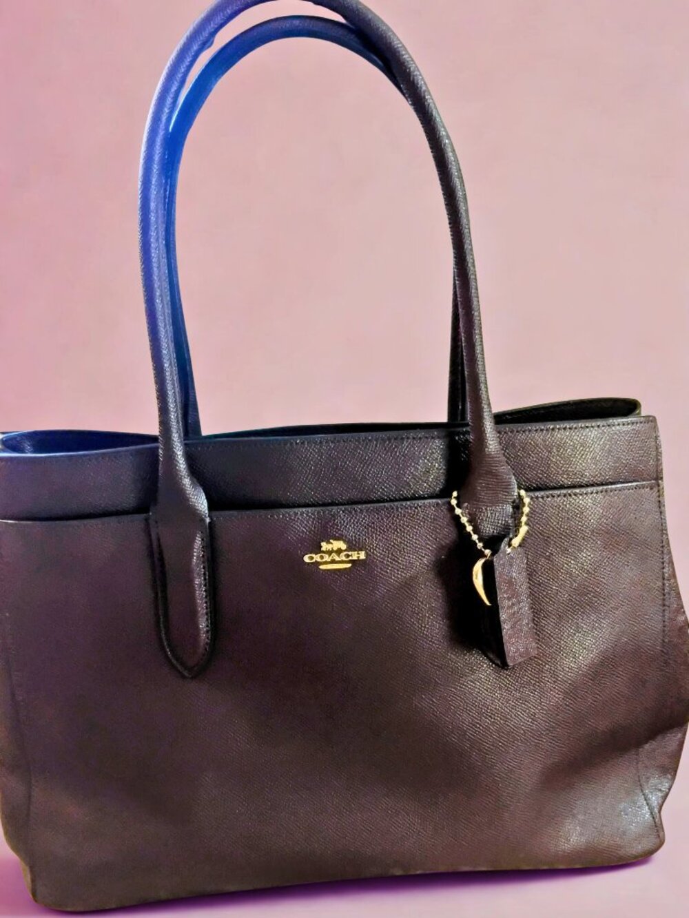 Coach Bailey Tote in Oxblood w/Bag Charm - Gently Used
